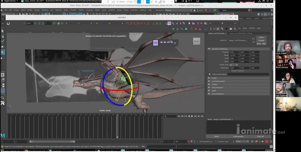 Gimbal Rotations: Image Sequences