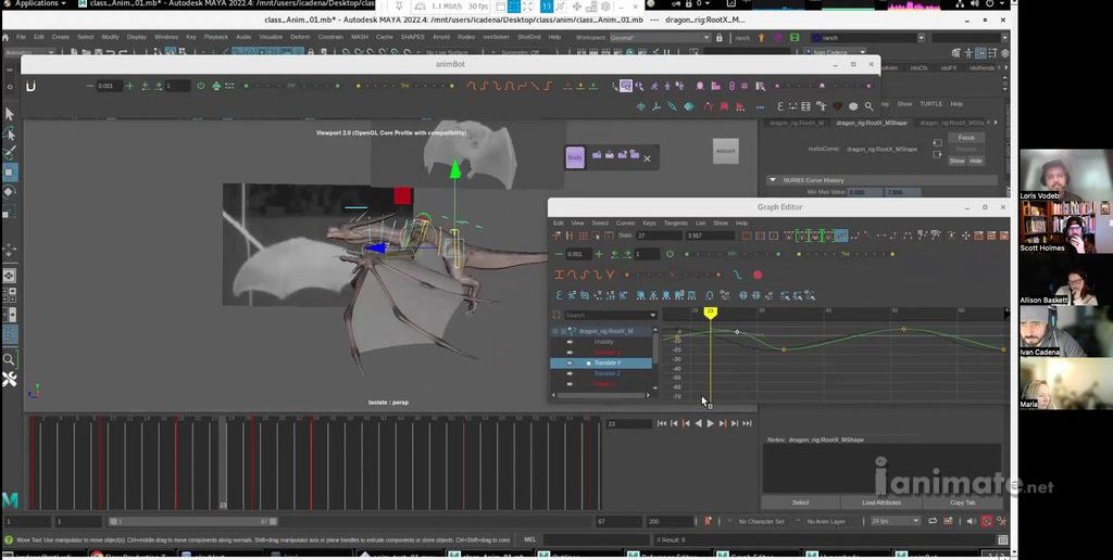 Gimbal Rotations: Refining the Motion